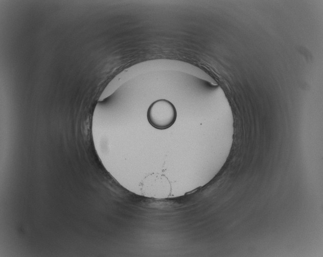 X0000116370336200912291715