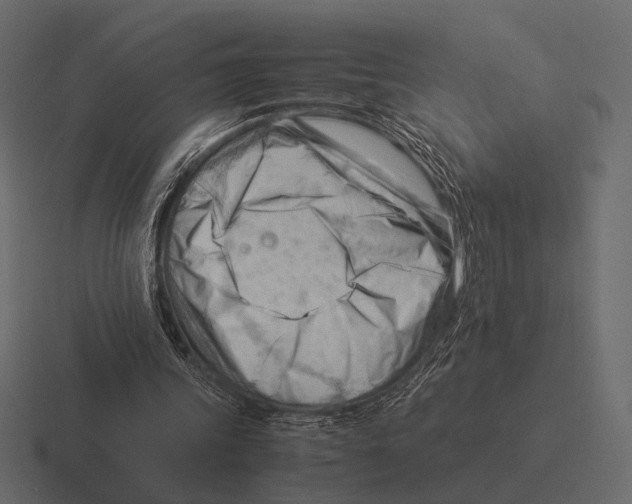 X0000116370339200912291714