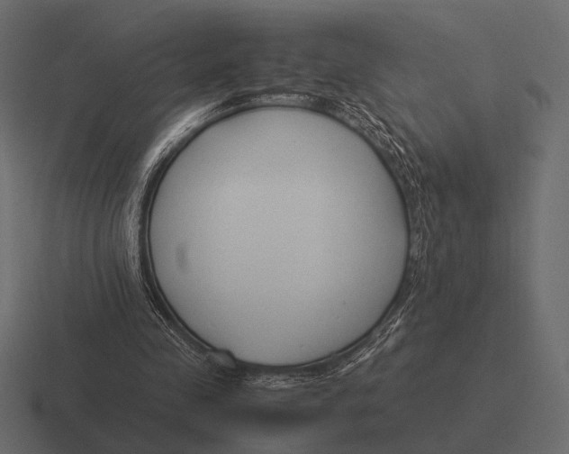 X0000116370341200912291714