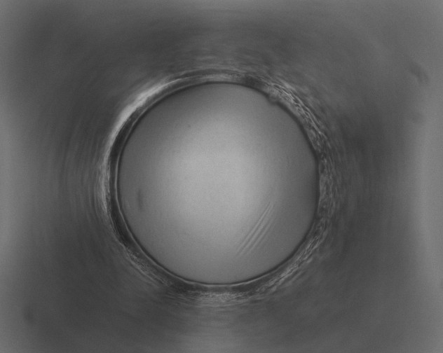 X0000116370342200912291714