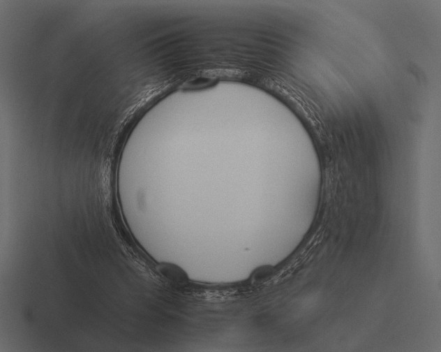 X0000116370345200912291715