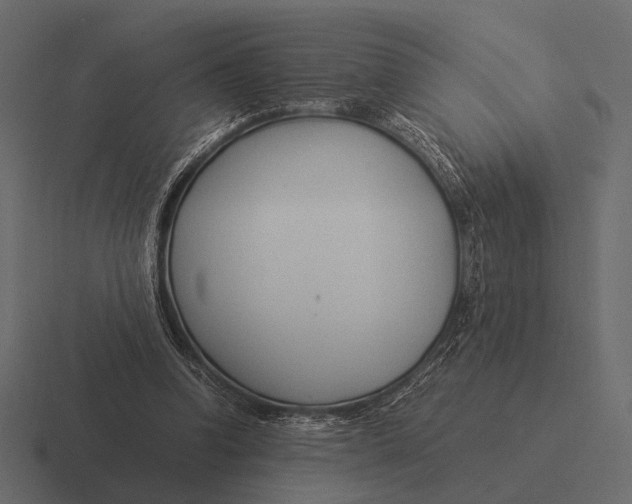 X0000116370346200912291715