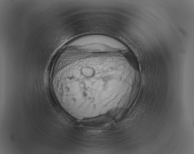 X0000116370347200912291715