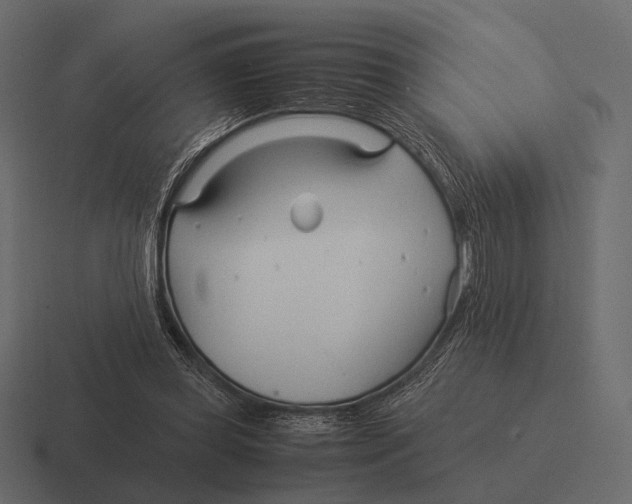 X0000116370349200912291715