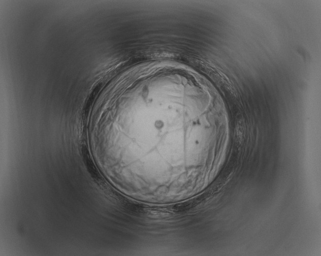 X0000116370359200912291715