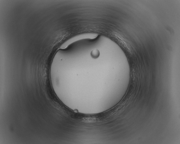 X0000116370362200912291715