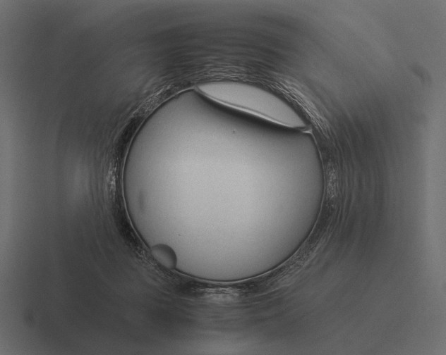 X0000116370363200912291715