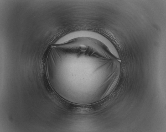 X0000116370366200912291715