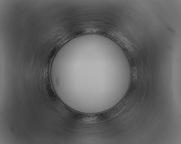 X0000116370369200912291715