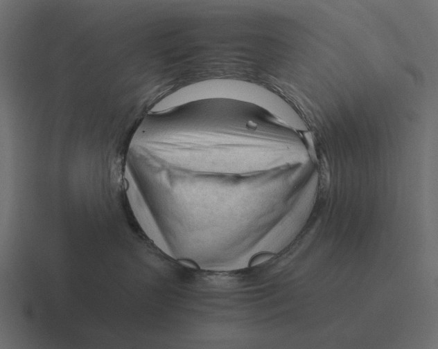 X0000116370383200912291715