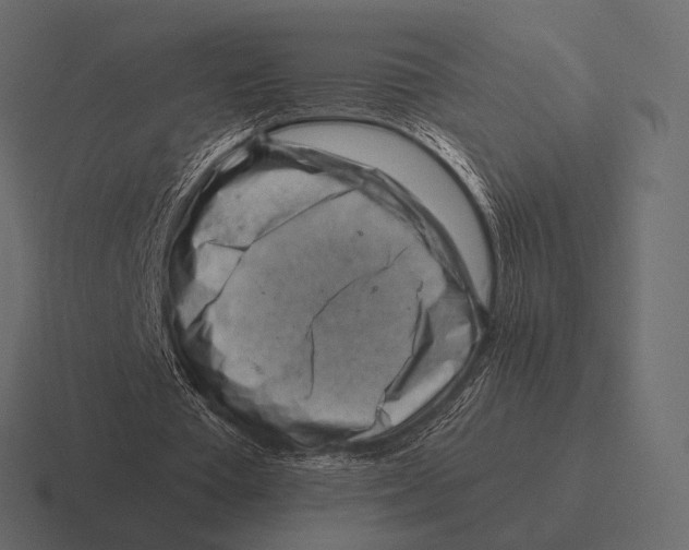 X0000116370385200912291714