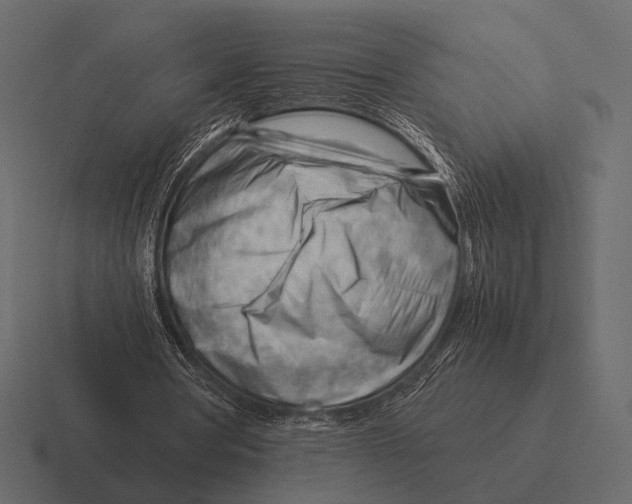 X0000116370386200912291714