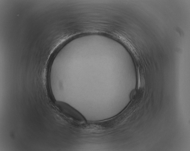 X0000116370387200912291714