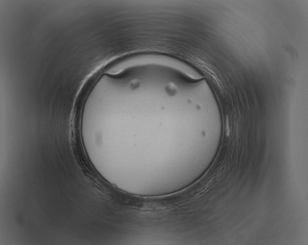 X0000116370388200912291714