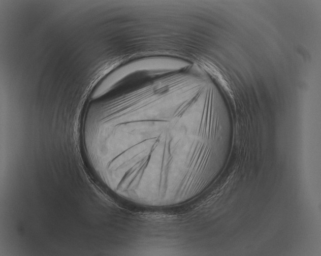 X0000116370389200912291714