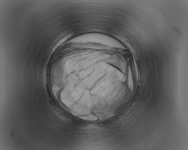 X0000116370390200912291714