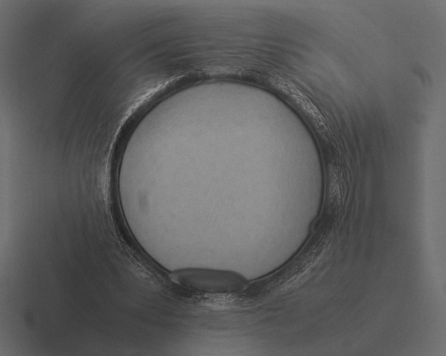 X0000116370391200912291714