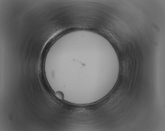 X0000116370392200912291714