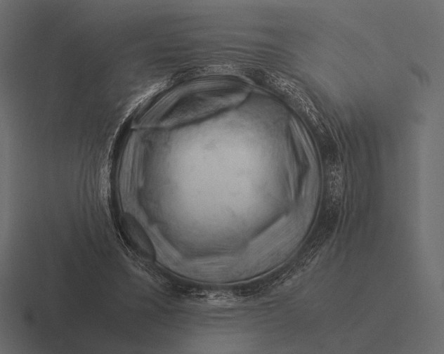 X0000116370395200912291714