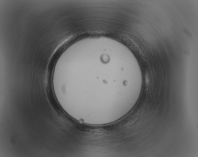 X0000116370396200912291714