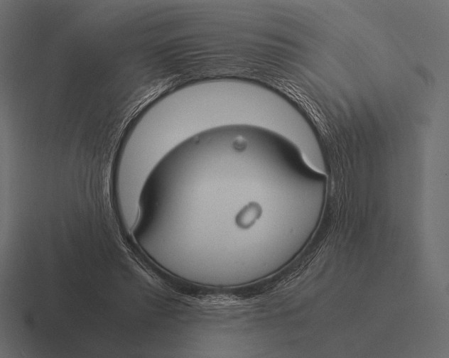 X0000116370397200912291714