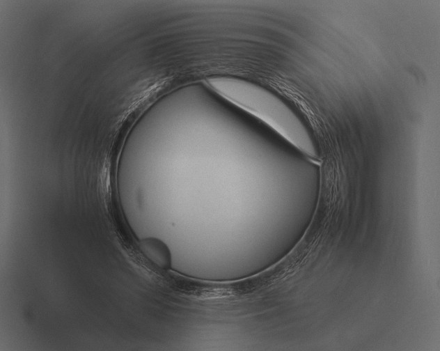 X0000116370398200912291714