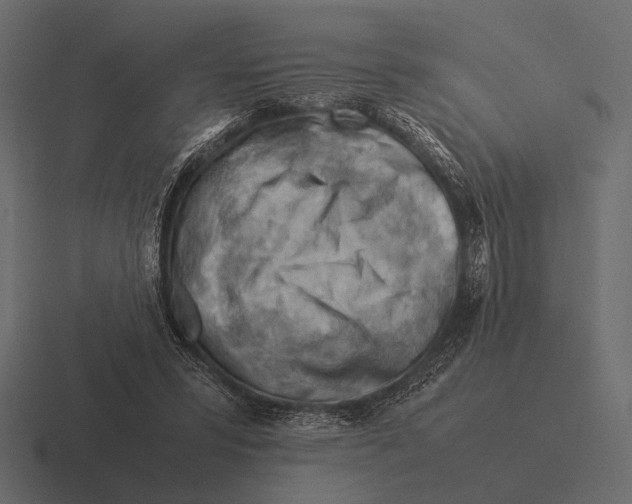 X0000116370399200912291714