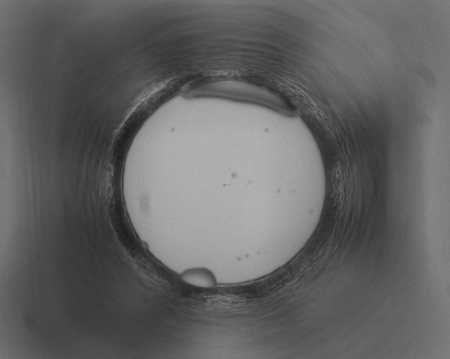 X0000116370400200912291714