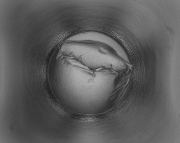 X0000116370402200912291714