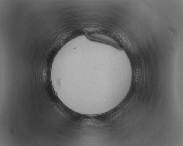 X0000116370408200912291714