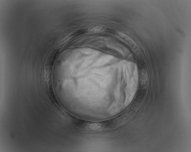 X0000116370409200912291714