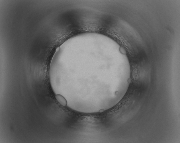 X0000116370411200912291714