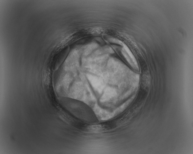 X0000116370413200912291714