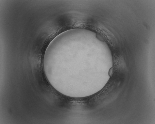 X0000116370415200912291714