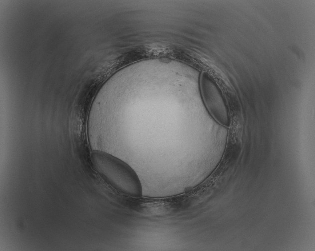 X0000116370417200912291714