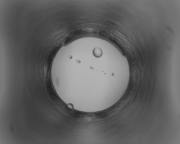 X0000116370420200912291714