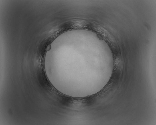 X0000116370423200912291714