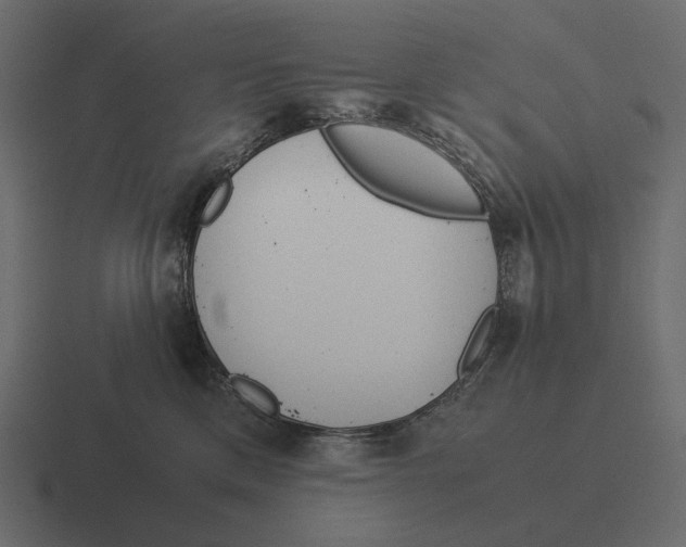 X0000116370425200912291714