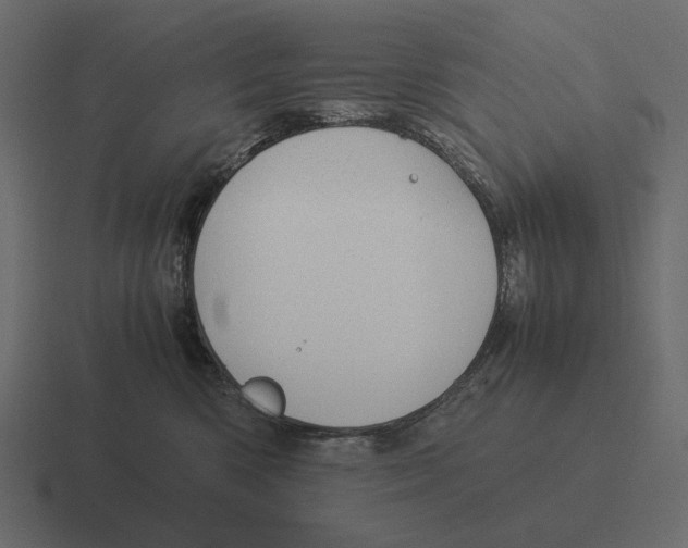 X0000116370426200912291714