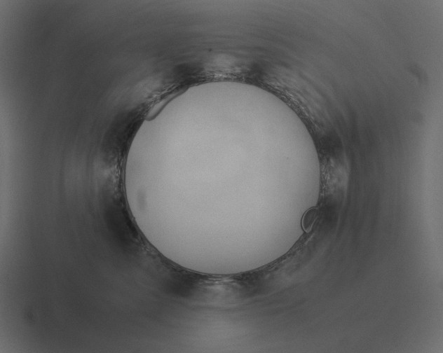 X0000116370427200912291714