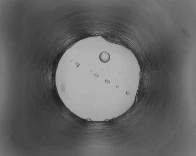 X0000116370428200912291714