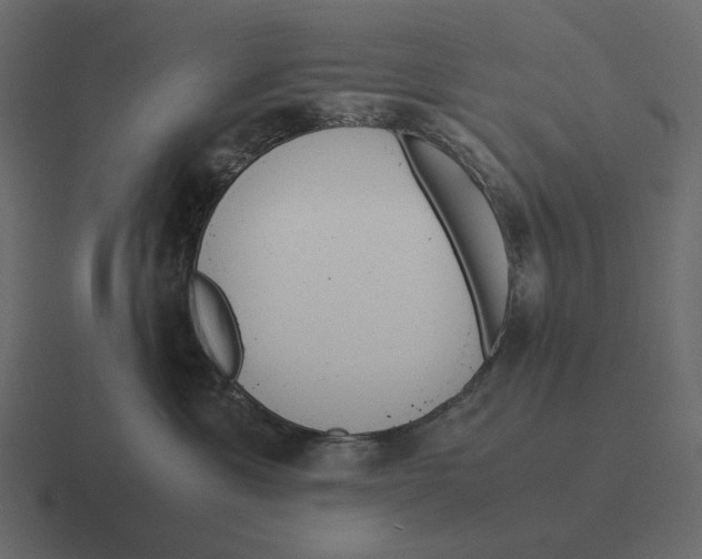 X0000116370429200912291714