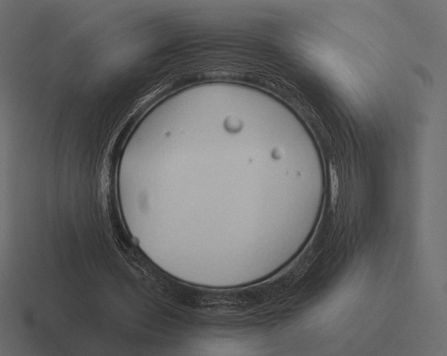 X0000116370435200912291713