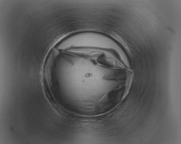 X0000116370436200912291713