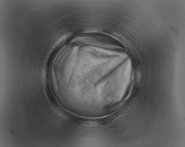 X0000116370444200912291713