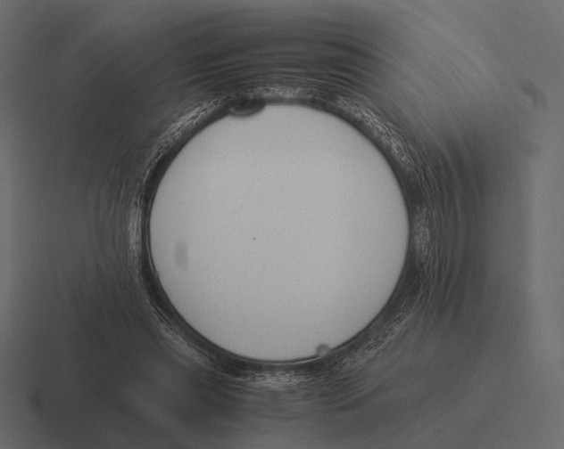 X0000116370445200912291713