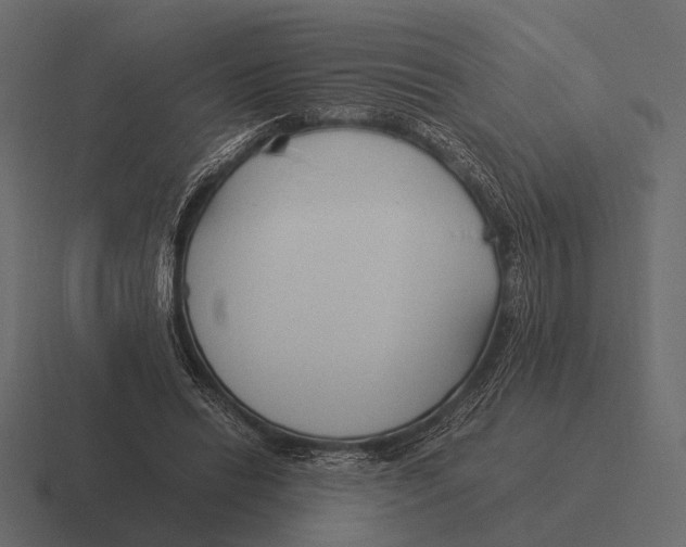 X0000116370446200912291713