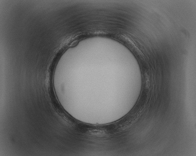 X0000116370447200912291713