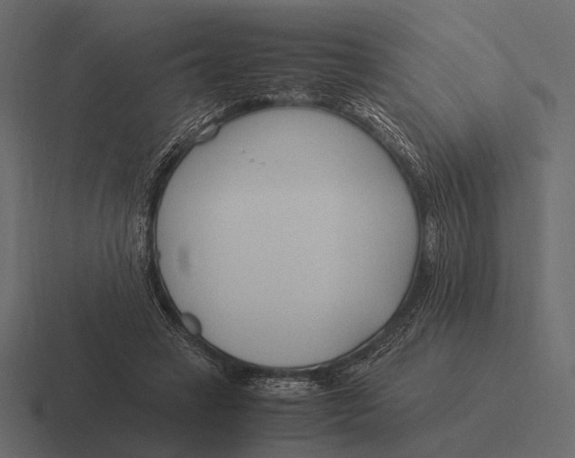 X0000116370449200912291713