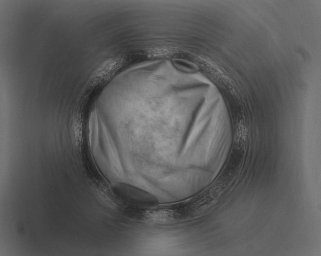 X0000116370452200912291713